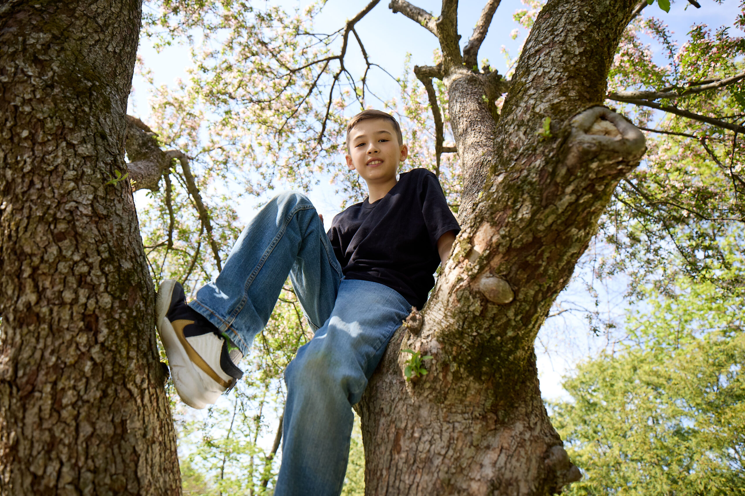 boy sittting in tree