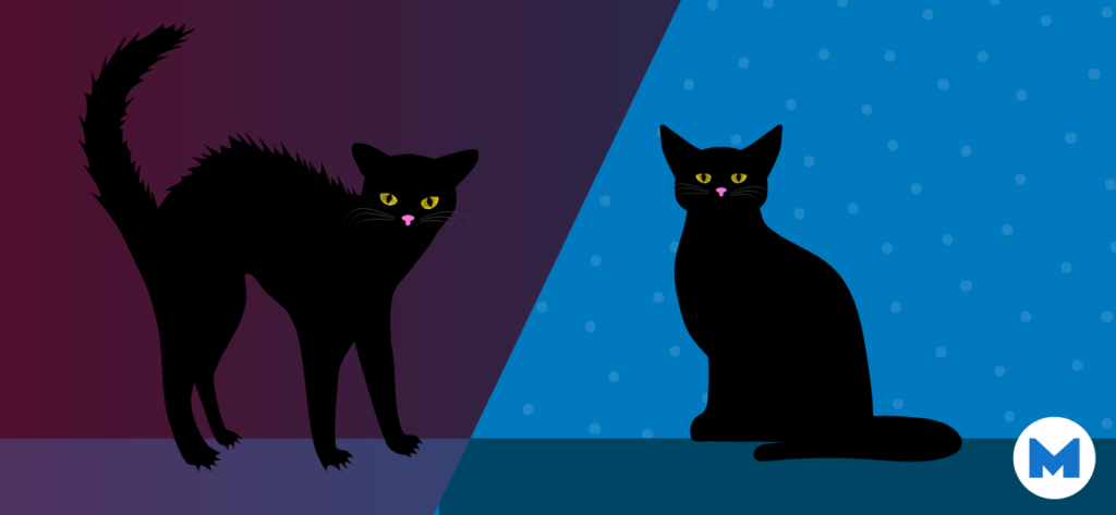 black-cats